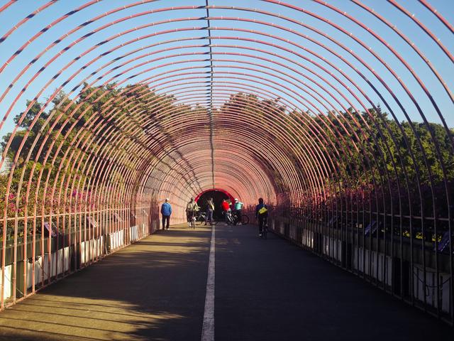 龙华新“骑”点，奔向2026骑行随拍1129