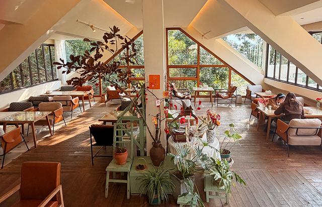 万峰林“咖啡热”催生文旅新体验