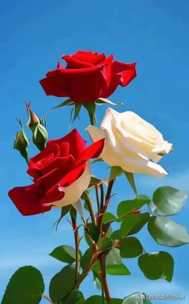 幼儿园收费新规:2026年1月1日起施行