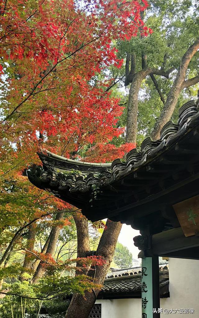 春光明媚 跟着摄影师镜头畅游美丽中国