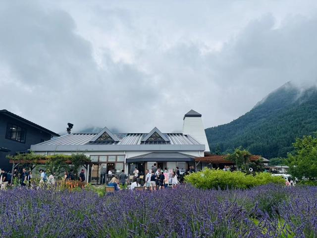 富士山下，谁能凭爱意要富士山私有