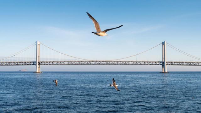 大连最值得去的8个免费景点，好玩又好拍！想去大连旅游的有福了