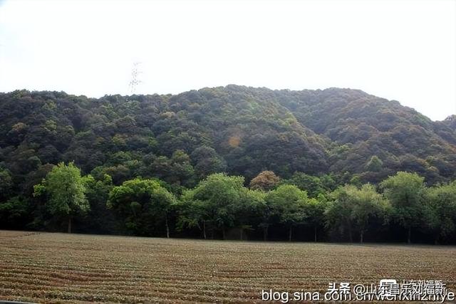杭州324路公交车沿途风光（皖浙沪旅游122）