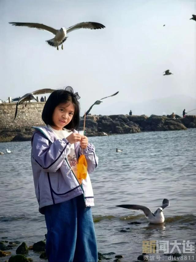 三刷大连！被“反向安利”的感觉太棒了