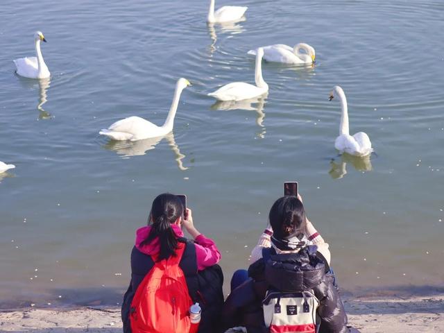 冬日周六晴好，邂逅热闹苍龙湖