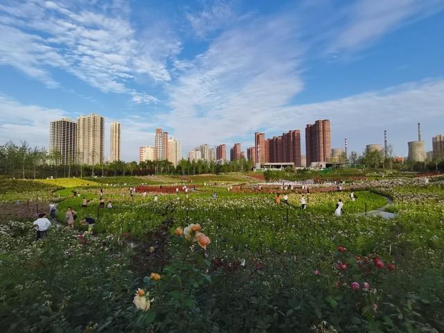 漂亮女邻居老公常年出差，她家灯泡总坏，每次都喊我去修