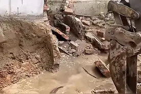 男子挖地基挖出一大窝鱼，本以为发财了，没想到知道真相后破防了图片