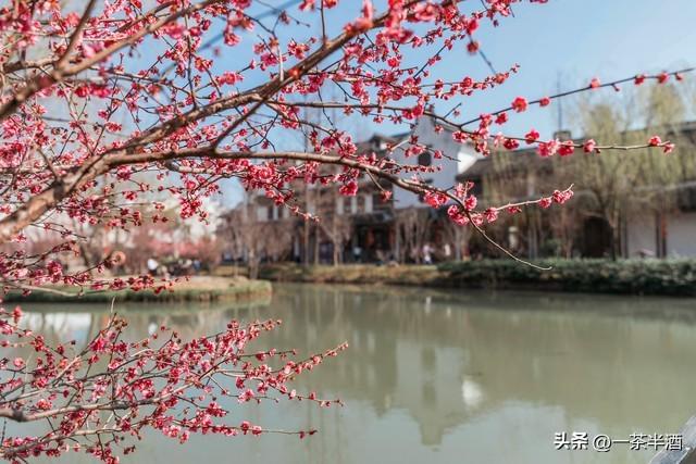 免费营地！浙江嘉兴自驾游必看，热门景点特色美食免费营地全在这