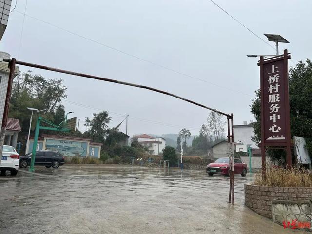 被蛇咬放弃救治后失联的邵阳网红，已被警方带走调查，有村民称他是“怪才”，是否系炒作需进一步核实