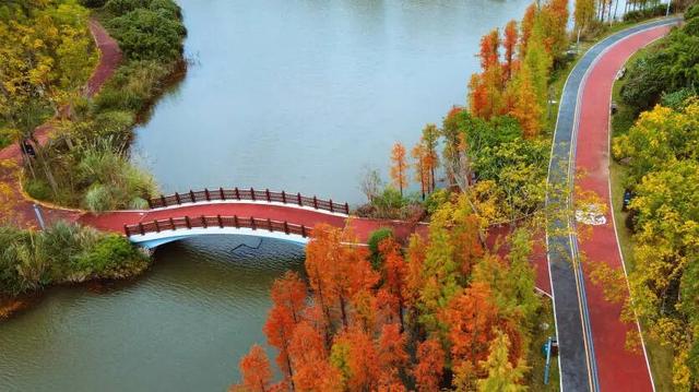 哇！金堂这里漂亮得不得了
