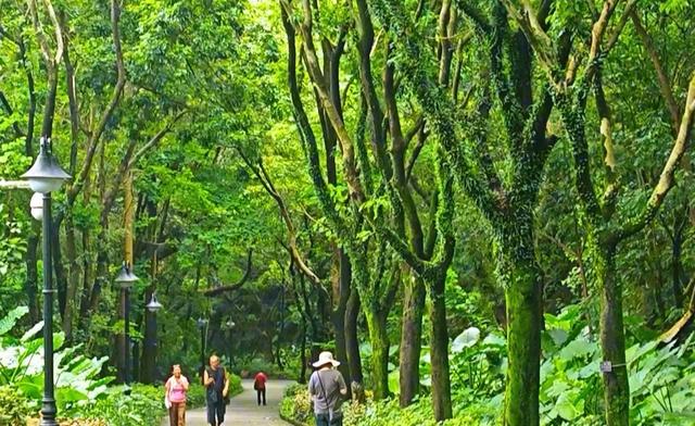 深圳最佳山顶观光平台之一，笔架山顶观光台，罗湖风光太壮观了