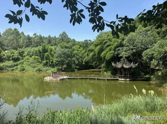 手慢无！富牛镇坝坝宴已开启预约