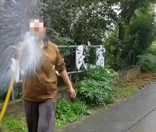 花果山捡板栗引纠纷 景区岂能甩锅