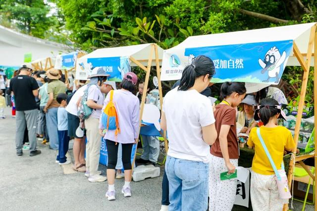 仅限2天！福田红树林公园邀您共赴！