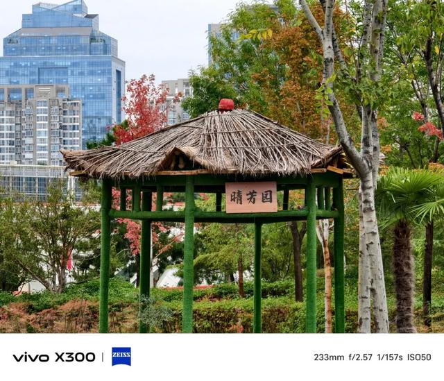 vivo X300系列评测：同级巅峰影像 出片易如反掌