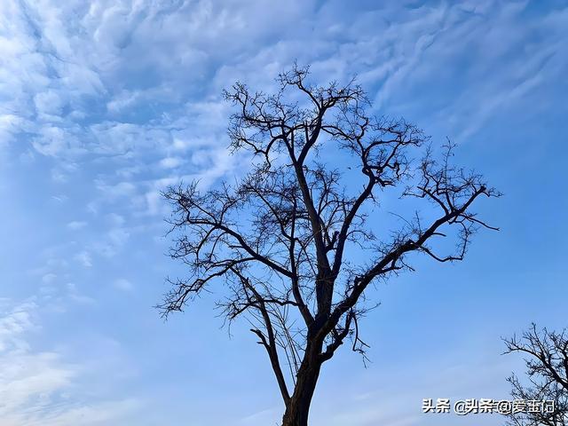 今日小雪，老人说“最怕小雪一日晴”，到底在怕什么？答案来了