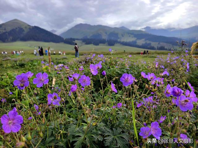 临汾摄协去新疆石河子文化交流 拍不够的美景 羊肉串和馕好吃 人更好