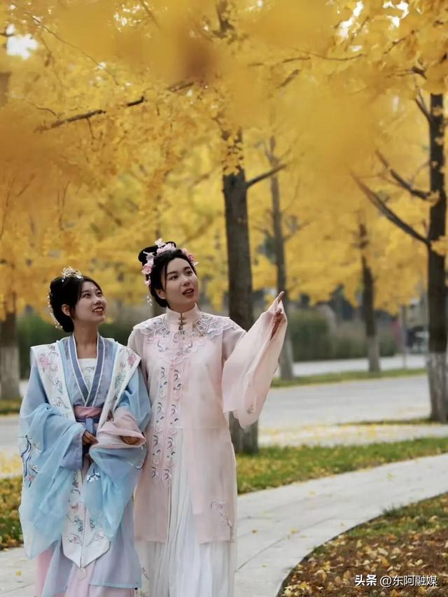 【今日立冬】秋景仍在，东阿中医药文化旅游区邀您共赴赏景之旅！