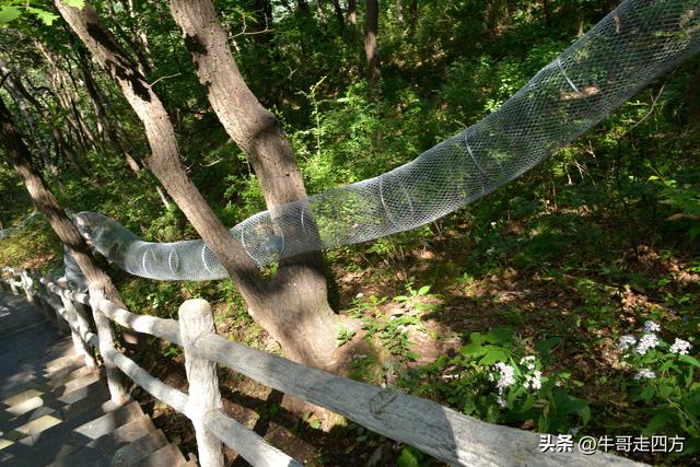河北百草畔（中）：览尽三山舒望眼，行穿百草浣尘襟
