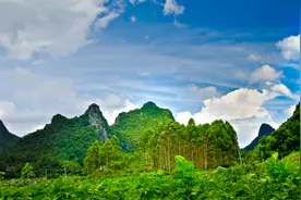 从350万亩到1.44亿亩，人工造林全国第一的广西有多逆天？图片