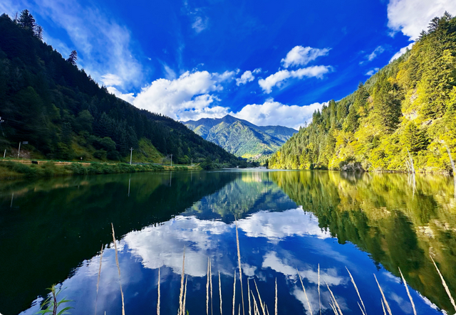 夏末初秋｜达古之绿是四季写给山河的散文诗