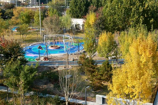 丰台的公园又双叒叕上新啦!