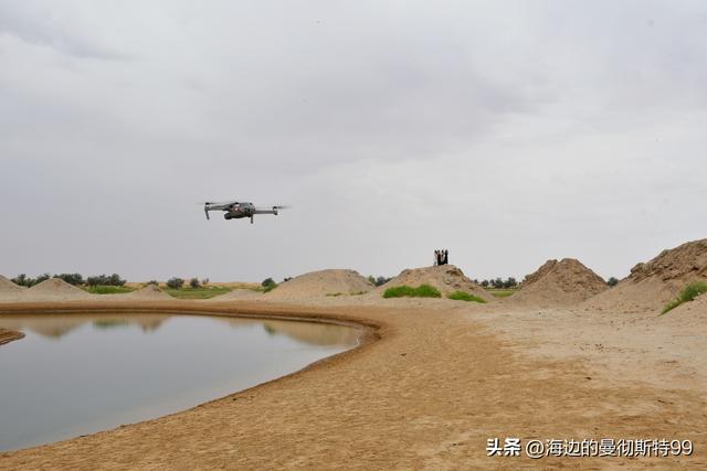 海边游记｜沙海狂飙与绿洲寻踪：内蒙古腾格里沙漠一日“历险记”