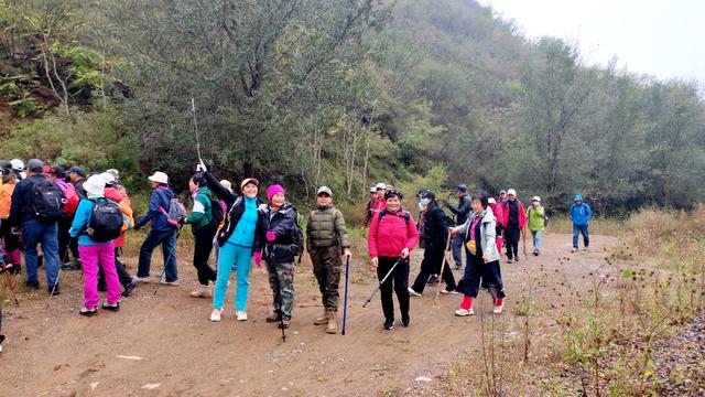 雾锁风挡山，红叶引客来