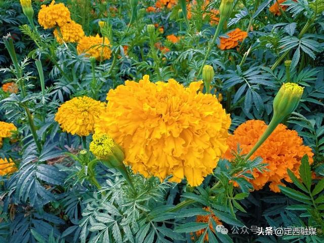 安定区石峡湾乡：雨润千峰秀 云开万象新