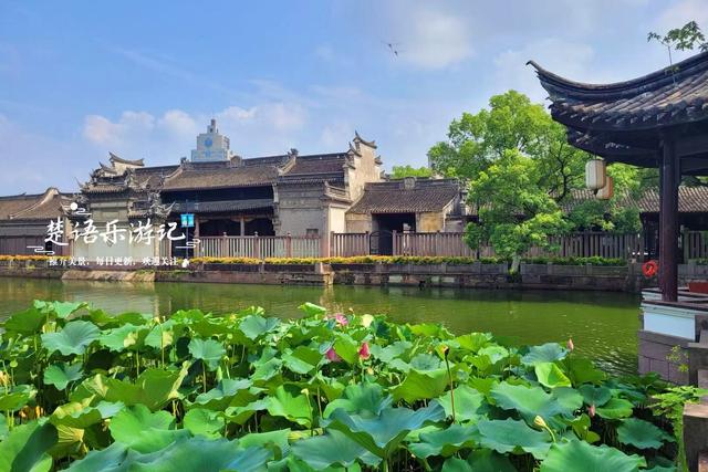 浙江宁波最具诗意的风景，荷花亭台相互映衬，古韵盎然景美如画