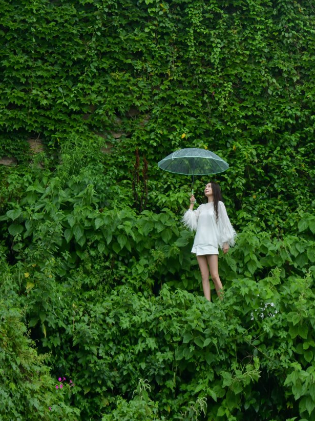 从你的全世界路过81：墟村浮光