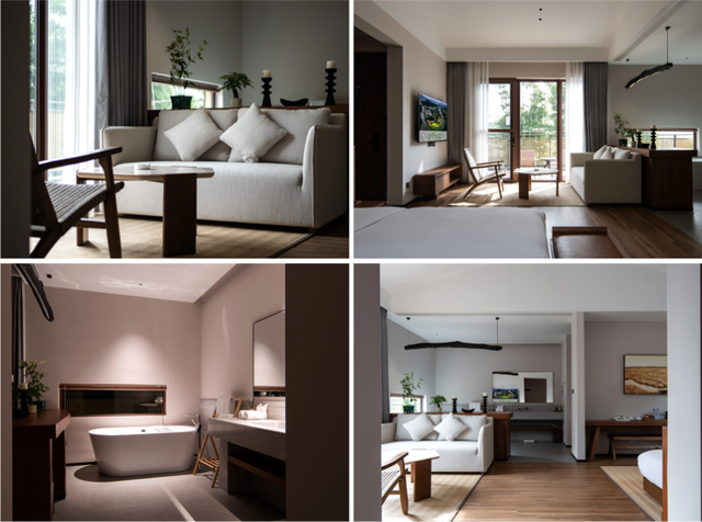 韶关新晋度假地，宛如现实版“绿野仙踪”，躺看星空的竹林民宿