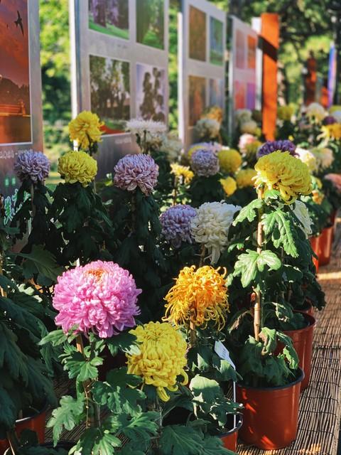 甘肃秋日限定丨三色交织的视觉盛宴，邂逅最诗意的陇原！