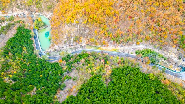 秋景斑斓彩石溪