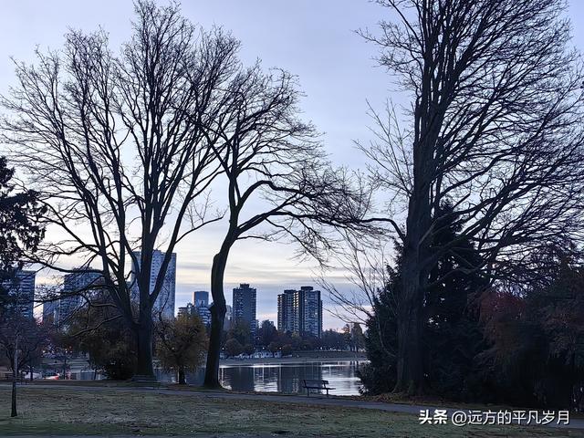 温哥华游记（四）