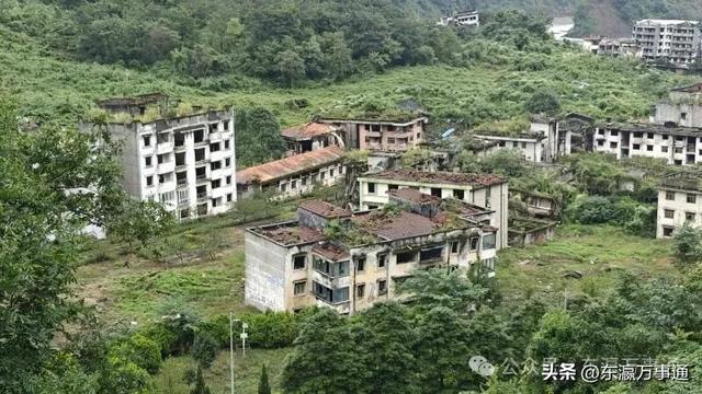 程肖梅：我的“北川记忆”——羌王竹海的全竹宴