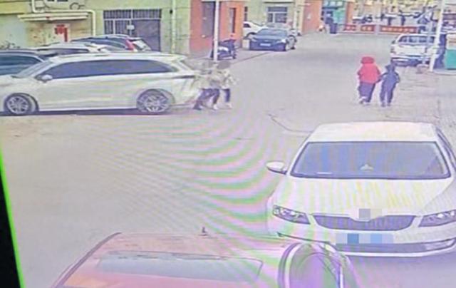 女法官疑因倒车失误致2人身亡