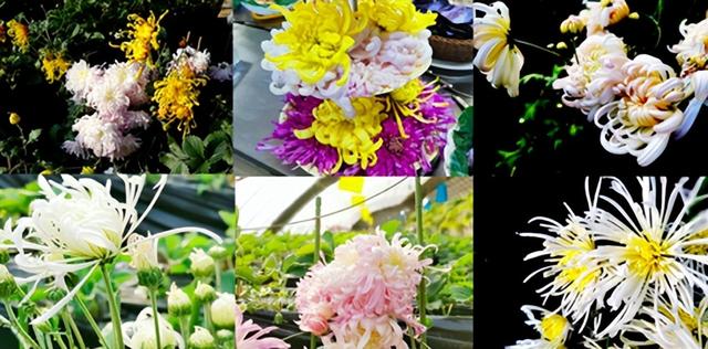 太全面了！8条游玩线路+京郊汤泉！带您玩转北京这里！（1）