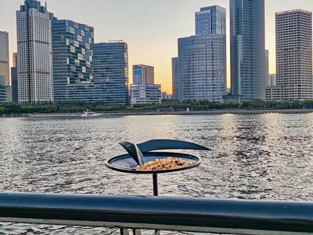 “顶流”来了！快来泰达“鸥”遇