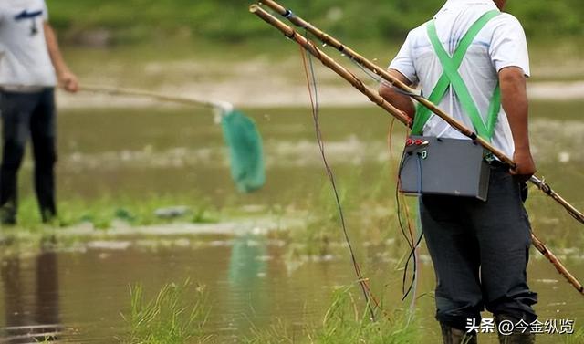 邻居相约电鱼，一人溺亡！同行者竟要赔钱？这事儿到底冤不冤？