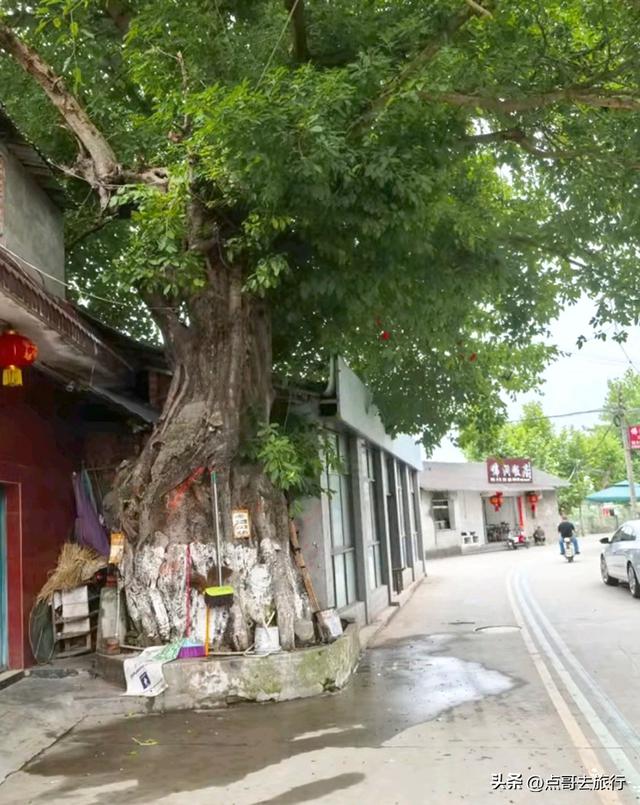 成都府河边，最低调的古场镇，停留在70年前，地铁公交车直达！