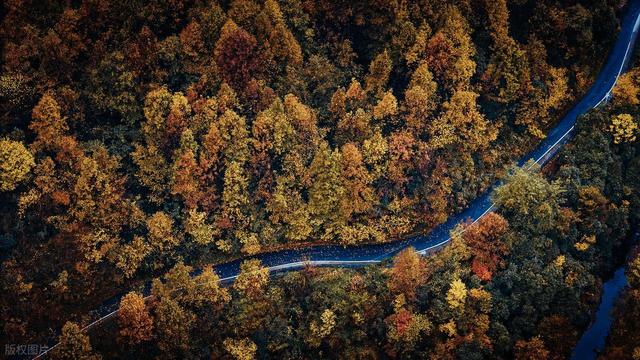 11月-12月，适合深秋自驾的8个地方，沿路都是好风景