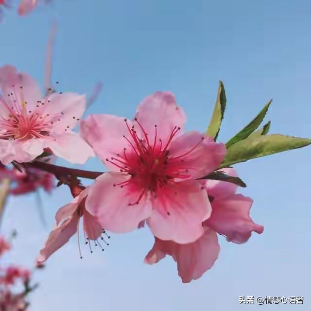 关系再好的异性 也别在微信上这样称呼对方