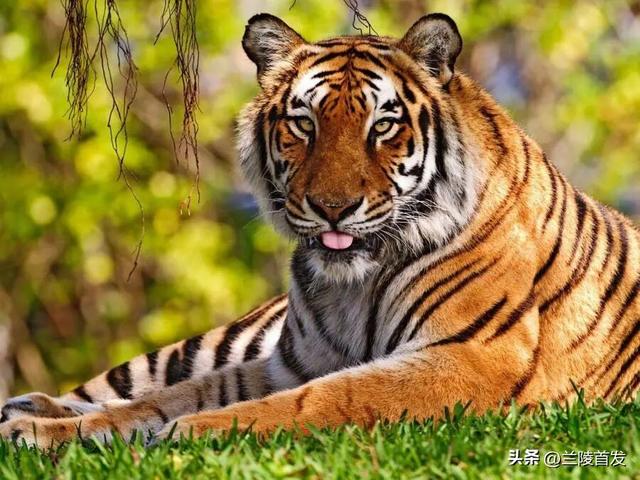 好客山东好品山东｜临沂遛娃去哪儿？初冬攻略收藏就出发～