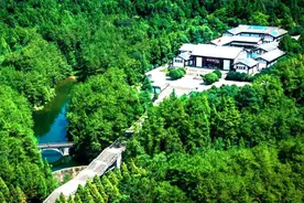 仪陇县2025年事业单位公开引进人才公告图片