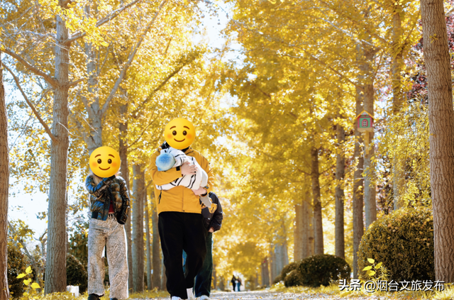 【乐游烟台】这是一份来自“金色梦境”的邀约，一起来撒欢