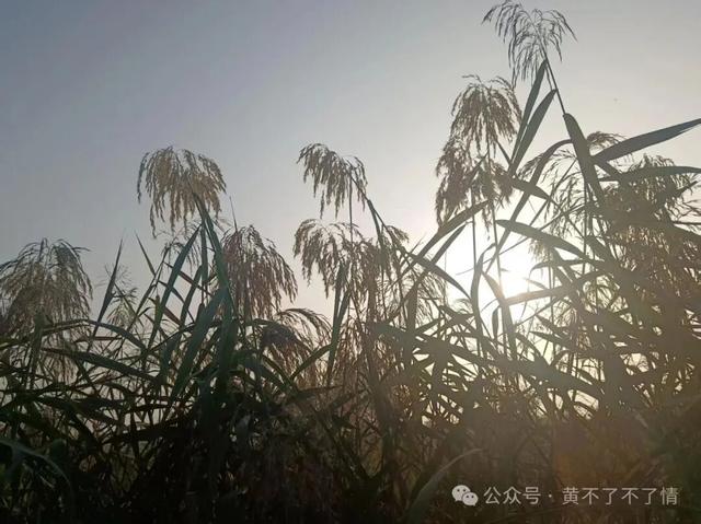 光山文殊寺,秋日的宁静与闲适