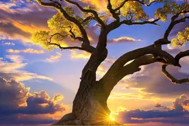 灵魂伴侣之间，多有这些“称呼”，别不信图片