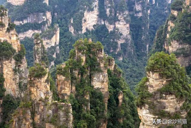 镜头中的山水：寻梦张家界 醉心山水间