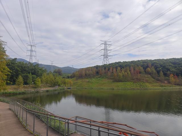 环西丽湖绿道骑行慢行随拍-动个好奇心